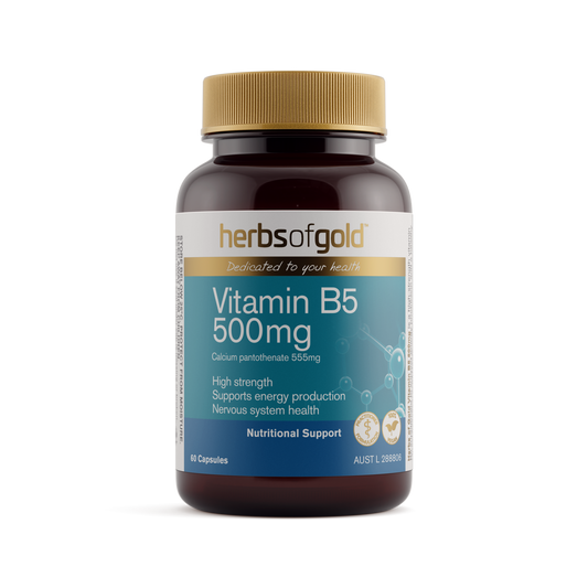 Herbs of Gold Vitamin B5 500mg 60 capsules