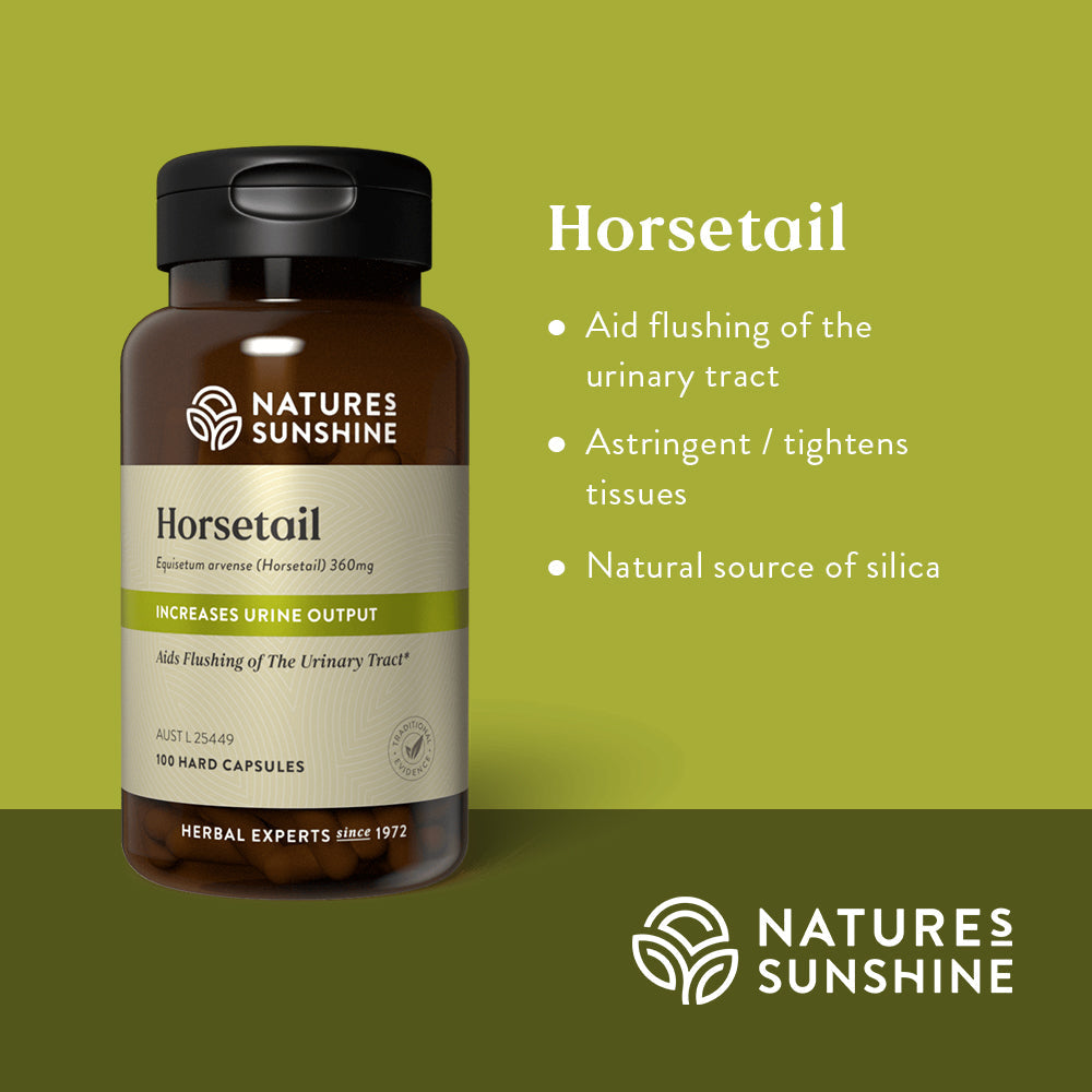 Natures Sunshine Horsetail 100 capsules